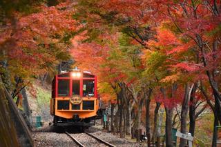 トロッコ列車-1.jpg