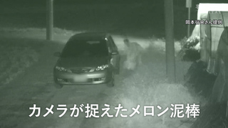 メロンのハウスから小走りで-1.jpg