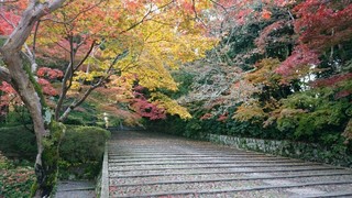 京都府-長岡京市-光明寺-1.jpg