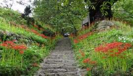 佛隆寺-1.jpg