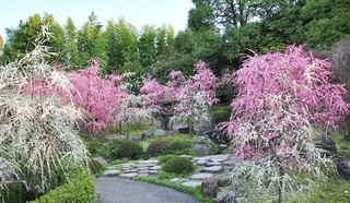 城南宮-1.jpg