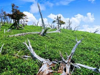 大台ケ原-3.jpg