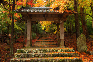 常照皇寺-1.jpg