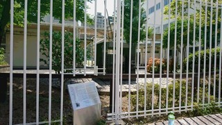 広島市立幟町中学-1.jpg