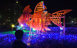 闇に浮かぶ金魚-ペットボトルでイルミネーション-1.jpg