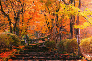 高源寺-1.jpg