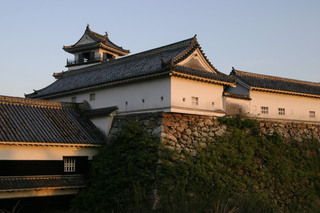 高知城-1.jpg